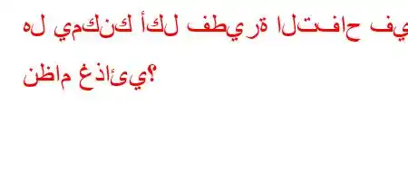 هل يمكنك أكل فطيرة التفاح في نظام غذائي؟